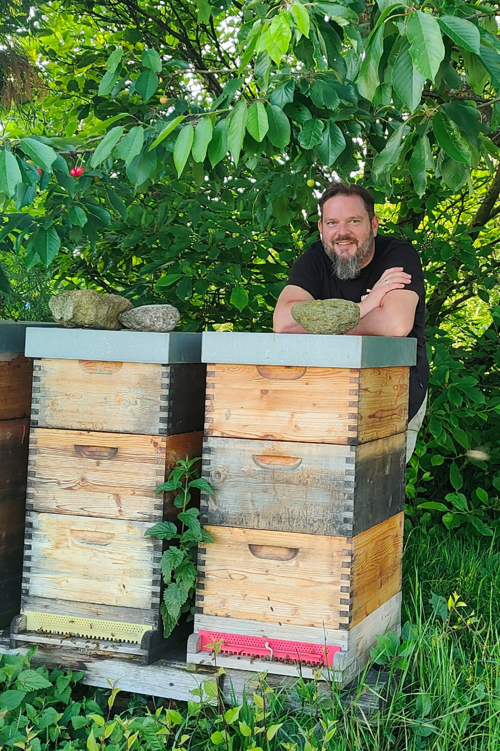 David Huber bei seinen Bienen – Imkerei Klamschlucht Honig